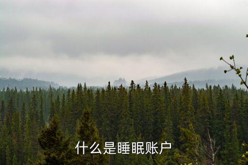 賬戶休眠是什么意思，辦理稅務(wù)申報(bào)說帳號(hào)休眠是什么意思
