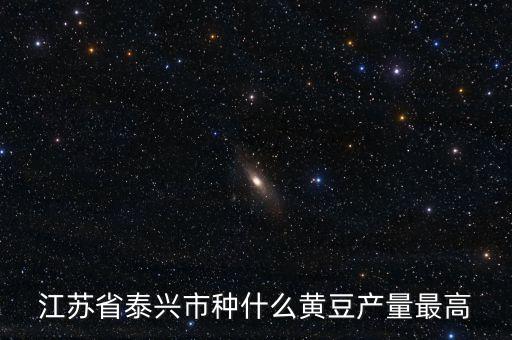 江蘇省泰興市種什么黃豆產(chǎn)量最高