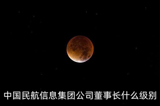 中國民航信息集團(tuán)公司董事長什么級別
