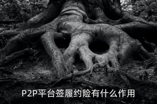 P2P平臺(tái)簽履約險(xiǎn)有什么作用