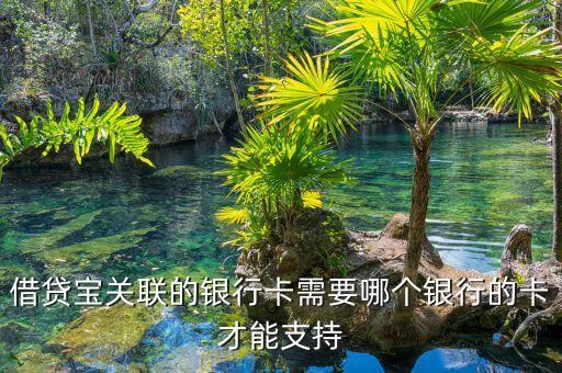 借貸寶支持什么銀行卡，借貸寶關聯(lián)的銀行卡需要哪個銀行的卡才能支持