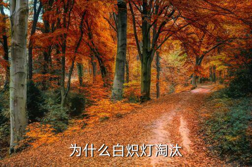 為什么白熾燈淘汰