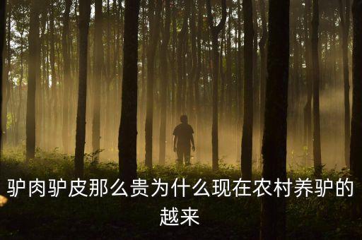 驢肉驢皮那么貴為什么現(xiàn)在農(nóng)村養(yǎng)驢的越來(lái)