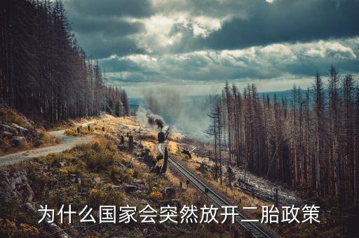 國家為什么開放二胎，國家開放二胎的原因是什么