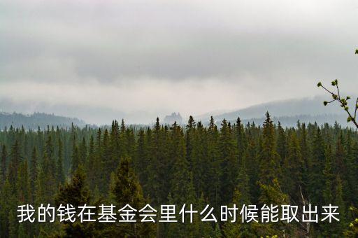 私募基金什么時候可以拿出來，我的錢在基金會里什么時候能取出來