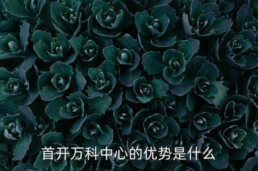 首開(kāi)萬(wàn)科中心的優(yōu)勢(shì)是什么
