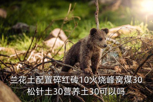 蘭花土配置碎紅磚10火燒峰窩煤30松針土30營養(yǎng)土30可以嗎