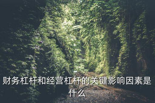 經(jīng)營杠桿形成的原因是什么，財務(wù)杠桿和經(jīng)營杠桿的關(guān)鍵影響因素是什么