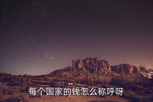 每個(gè)國(guó)家的錢(qián)怎么稱(chēng)呼呀