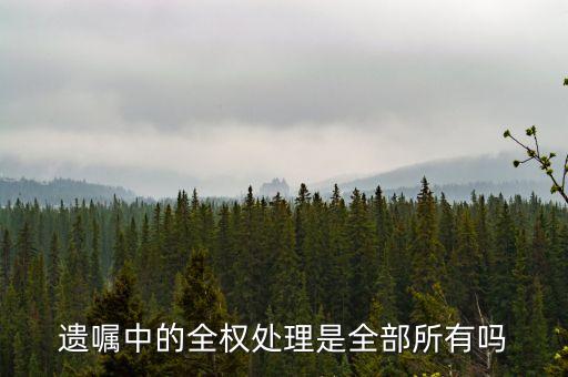 遺囑中的全權(quán)處理是全部所有嗎
