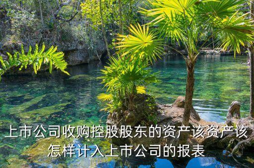 上市公司收購控股股東的資產(chǎn)該資產(chǎn)該怎樣計(jì)入上市公司的報(bào)表