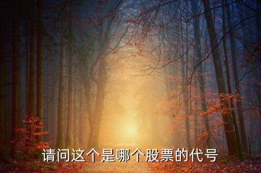 股票代碼833344是什么股，股票代碼83開頭是什么股票