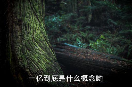 一億到底是什么概念喲