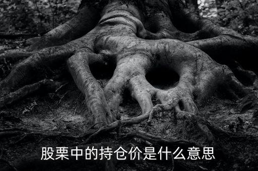 持倉價什么意思，持倉價是什么意思