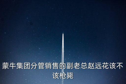 蒙牛集團(tuán)分管銷售的副老總趙遠(yuǎn)花該不該槍斃
