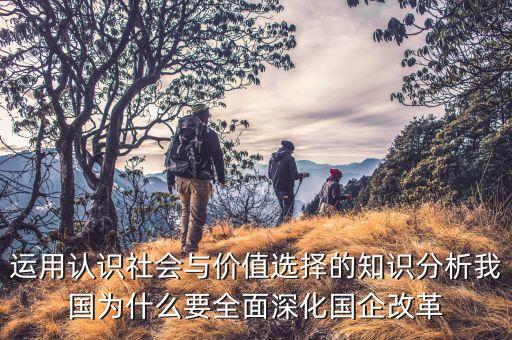運(yùn)用認(rèn)識社會與價值選擇的知識分析我國為什么要全面深化國企改革