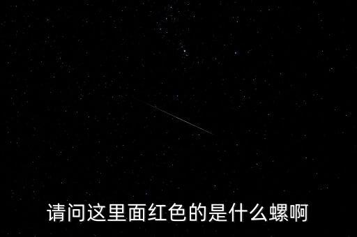 請問這里面紅色的是什么螺啊