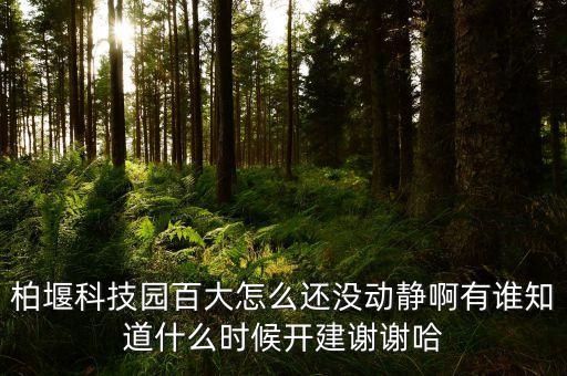 滁州百大什么時候開業(yè)，滁州商之都什么時候開業(yè)的