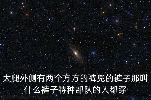 大腿外側(cè)有兩個方方的褲兜的褲子那叫什么褲子特種部隊的人都穿