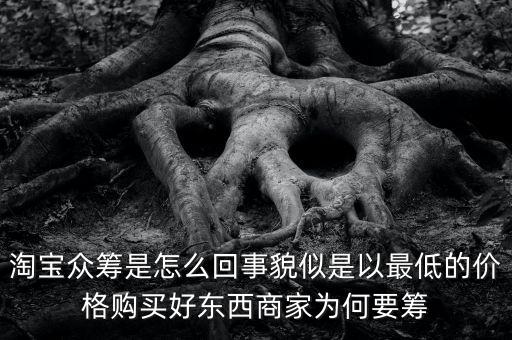 淘寶眾籌是怎么回事貌似是以最低的價(jià)格購買好東西商家為何要籌