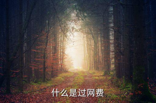 什么叫過網(wǎng)費(fèi)，手機(jī)上網(wǎng)費(fèi)是什么