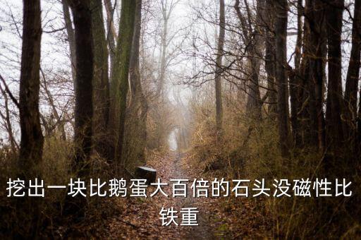 挖出一塊比鵝蛋大百倍的石頭沒磁性比鐵重
