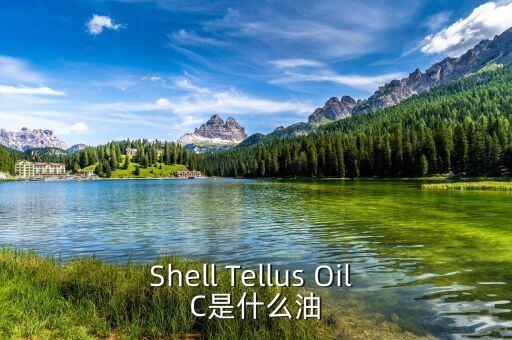 權(quán)益油是什么，Shell Tellus Oil C是什么油