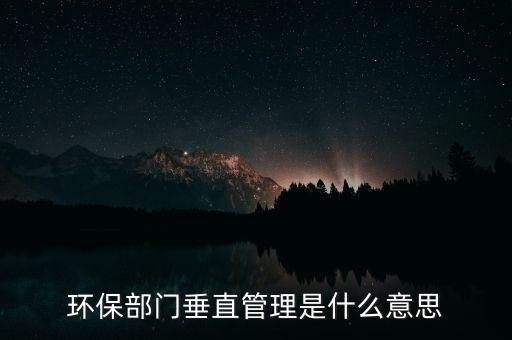 什么是垂直化管理，什么是審計集中化和垂直化管理制度