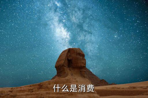 什么是消費(fèi)