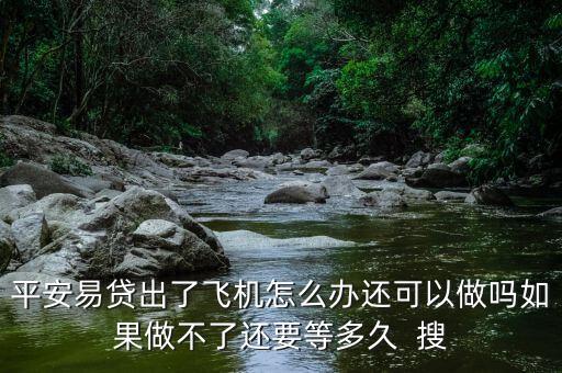 平安易貸出了飛機(jī)怎么辦還可以做嗎如果做不了還要等多久  搜