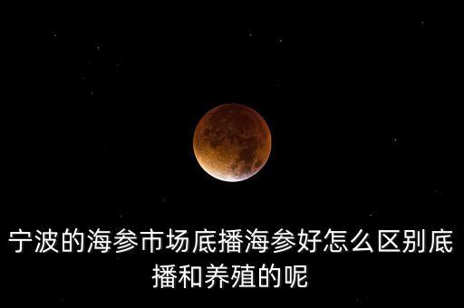 什么是底播海參，底播海參和非底播海參有什么區(qū)別