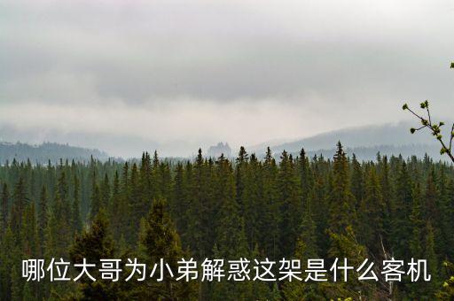 哪位大哥為小弟解惑這架是什么客機(jī)