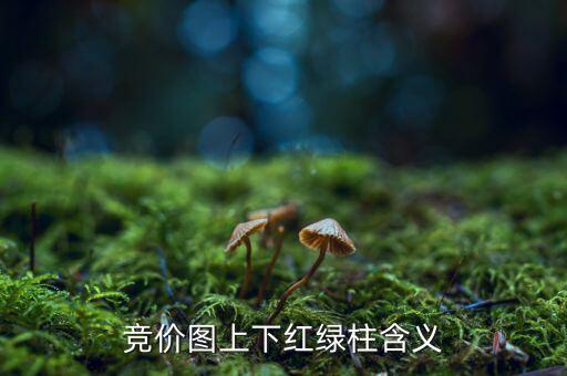 股票競價圖是什么意思，股票競價圖怎么看