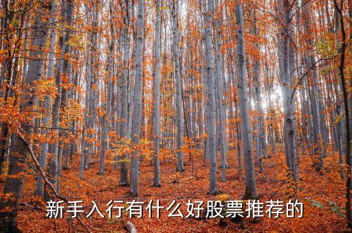 新手入行有什么好股票推薦的
