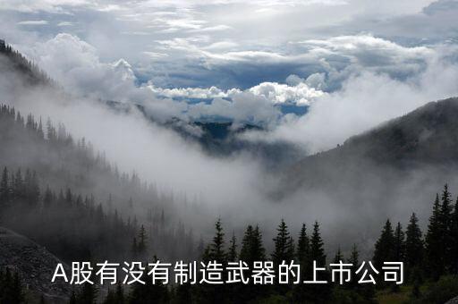造戰(zhàn)斗機(jī)是什么股票，A股有沒有制造武器的上市公司
