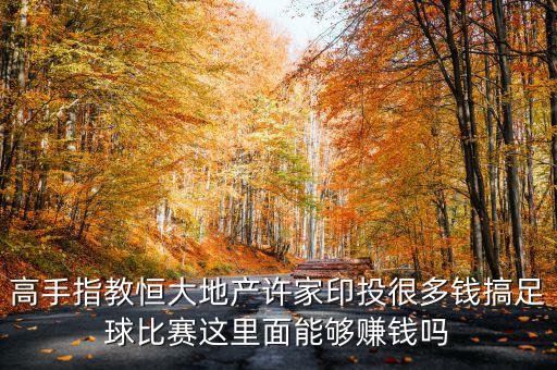 高手指教恒大地產(chǎn)許家印投很多錢搞足球比賽這里面能夠賺錢嗎