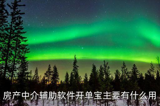 房產(chǎn)中介輔助軟件開單寶主要有什么用