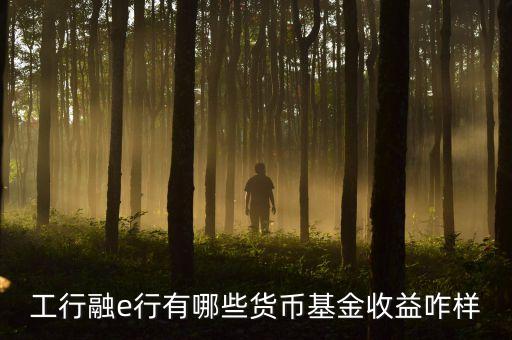 工行網(wǎng)銀有什么貨幣基金，工行融e行有哪些貨幣基金收益咋樣