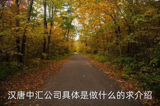 漢唐中匯公司具體是做什么的求介紹