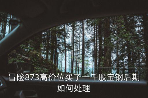 為什么大寧板塊房?jī)r(jià)瘋漲，8月11日房地產(chǎn)板塊漲幅領(lǐng)頭的原因