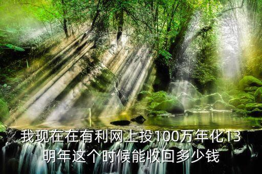 我現(xiàn)在在有利網(wǎng)上投100萬年化13明年這個時候能收回多少錢