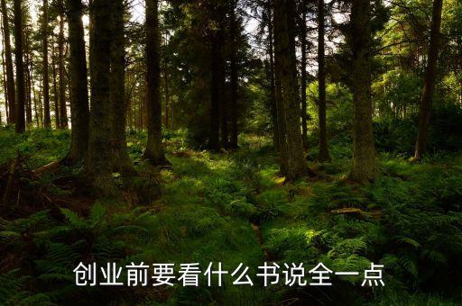 創(chuàng)業(yè)前要看什么書說全一點(diǎn)