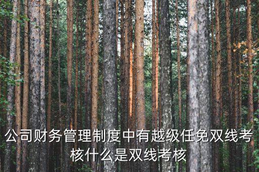公司財務(wù)管理制度中有越級任免雙線考核什么是雙線考核