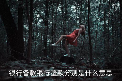 墊款是什么意思，還墊款是什么意思