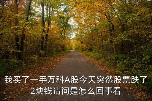 我買了一手萬科A股今天突然股票跌了2塊錢請問是怎么回事看