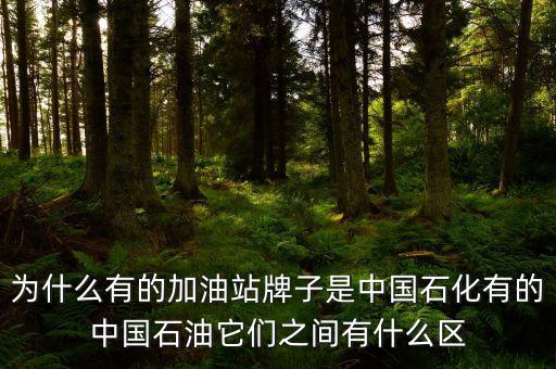 為什么中石化和中石油不，中石油中石化中海油為什么不合并