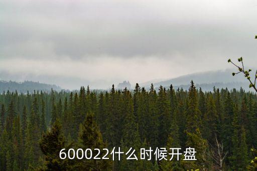 600022什么時候開盤