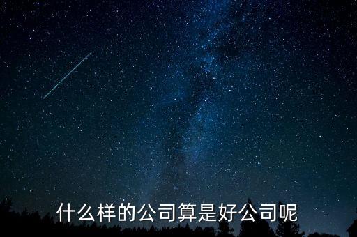 什么樣的公司是比較好的，有什么樣的公司是比較好的