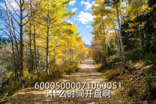 600050000710600515什么時(shí)間開盤啊