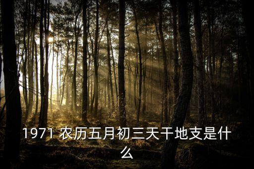 1971 農(nóng)歷五月初三天干地支是什么